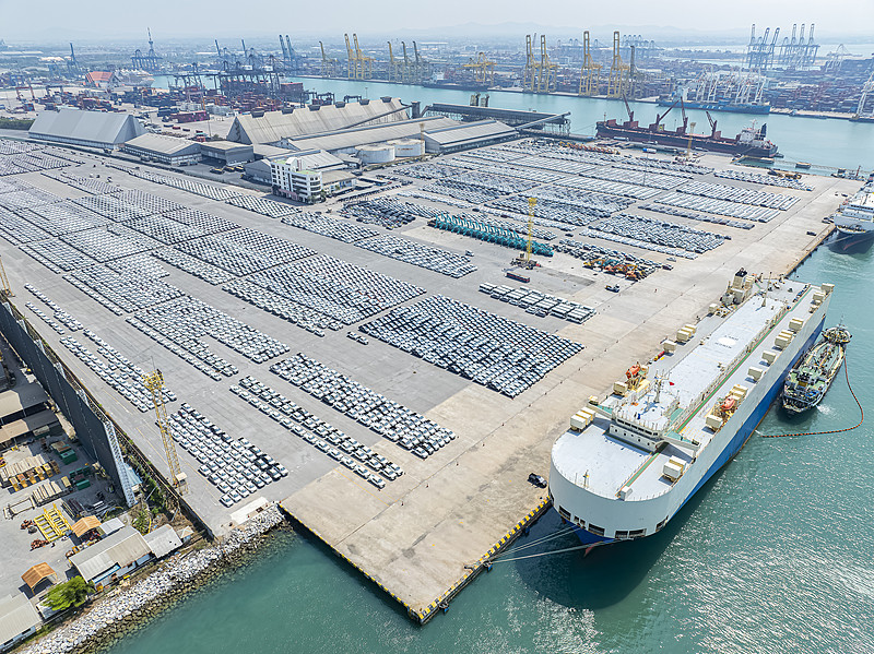 中国福建厦门到澳大利亚专线物流跨境代发要多少钱 中国福建厦门到澳大利亚专线物流跨境代发要多少钱