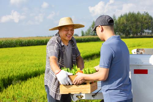 湖南株洲到印度新德里跨境拼箱代发空运