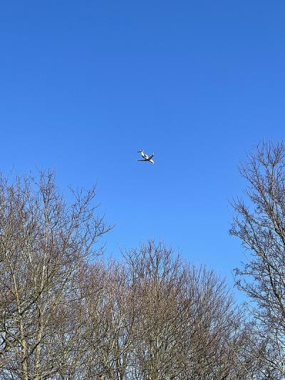 广西森邕通物流有限公司