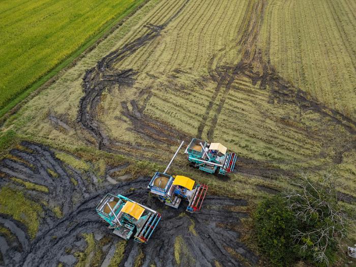 芜湖泽豪物流有限公司
