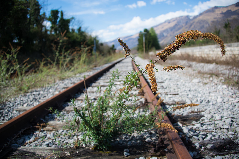 惠州市中驰物流有限公司