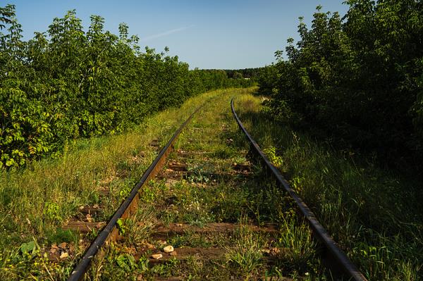 柳州市盛驰物流有限公司