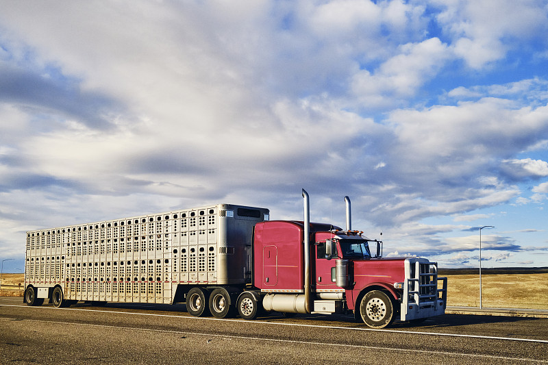 中山市标兵物流有限公司 中山市标兵物流有限公司