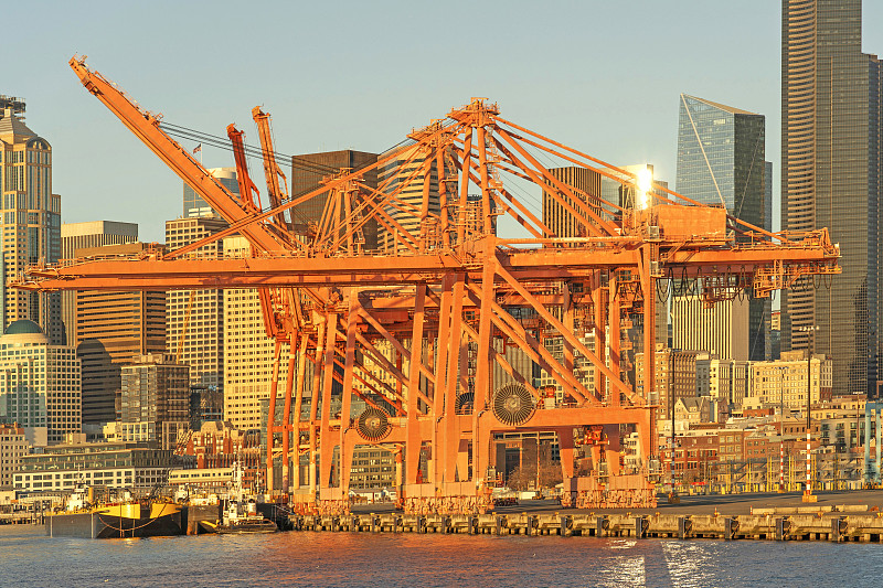 上海泽语国际物流有限公司