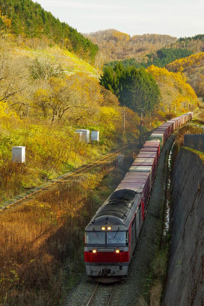 南宁市中翔物流有限公司