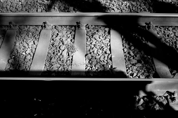 深圳市深港骏杰物流有限公司