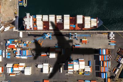 广州真鱼鱼物流有限公司