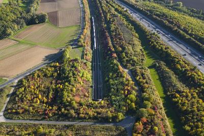 深圳市欣鸿盛物流有限公司