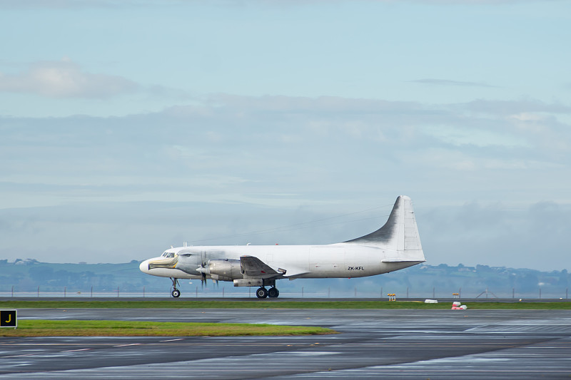 富贵竹水养瓶通过中国深圳优先空运速递到兰里(Langley)