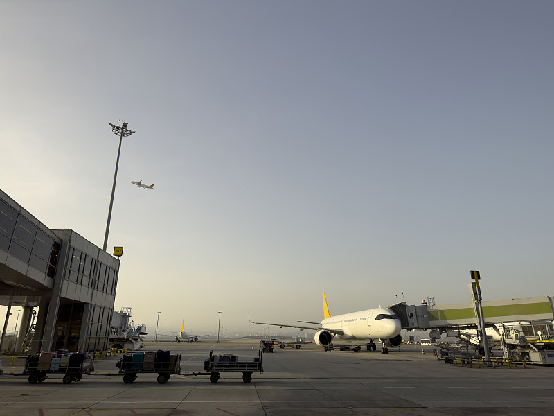 中国上海到加拿大里贾纳(Regina)的黎族藤编包采用国际空运专线13天配送到 中国上海到加拿大里贾纳(Regina)的黎族藤编包采用国际空运专线13天配送到