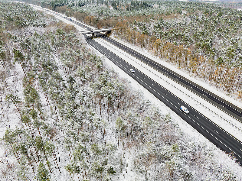 工业机器人借用连云港整箱海运快速送达加拿大三角洲(Delta)