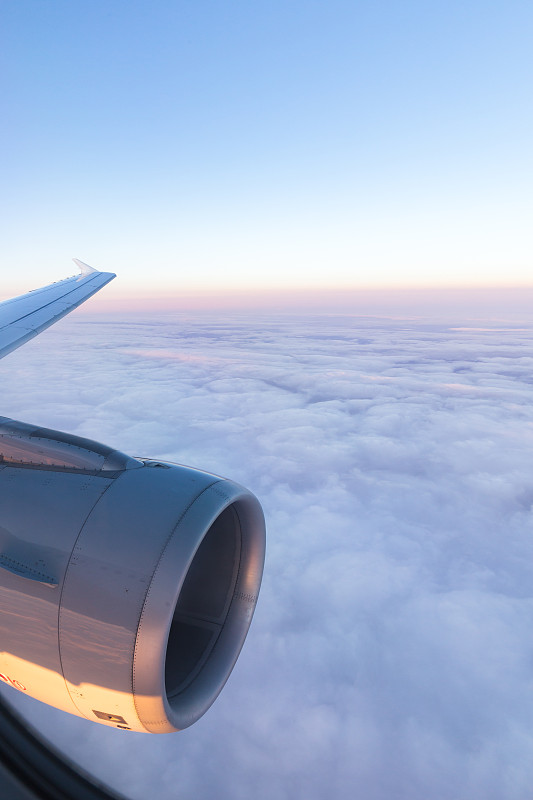 指接拼板通过中国广州国际多式联运承运至魁北克城 指接拼板通过中国广州国际多式联运承运至魁北克城