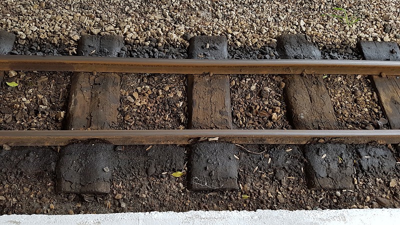 松子运用中国重庆整箱海运完整送达温哥华