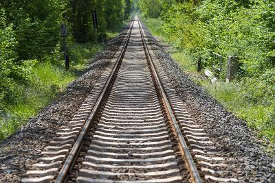 初级农产品应用中国舟山LCL海运安全送达红鹿市(RedDeer)