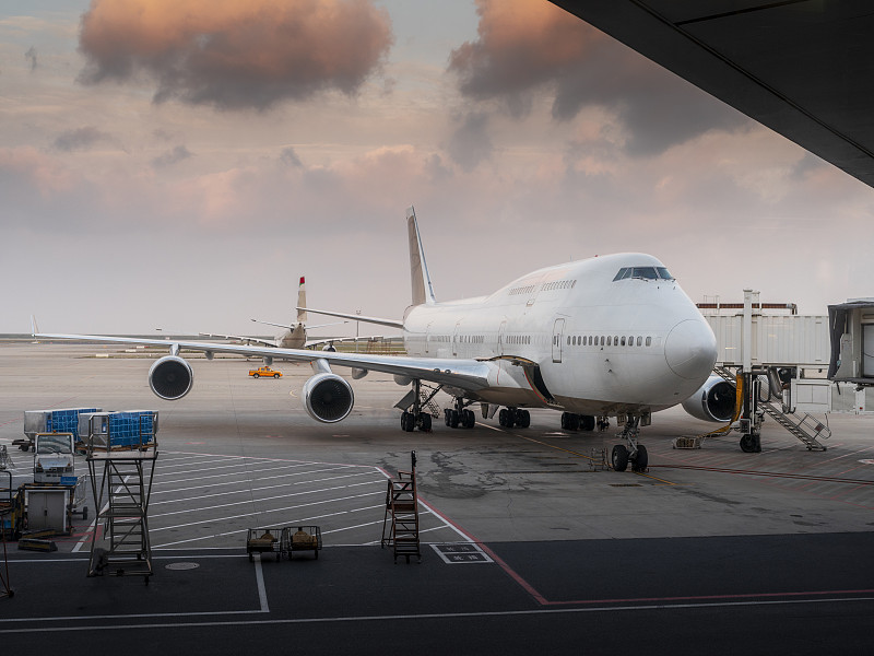 水产品应用天津整箱海运快送到基奇纳