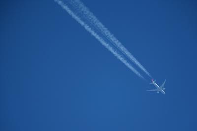 中国广州笔记本电脑采用国际空运专线14天内速递到多伦多(Toronto)