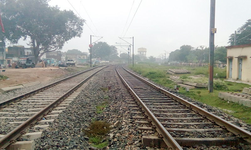 人造毛皮应用上海海洋运输送抵加拿大莱斯布里奇