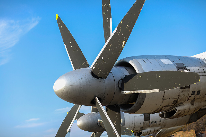 卫生纸中国大连散货船运输高效送达桑德贝