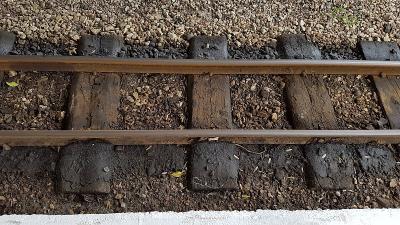 松子运用中国重庆整箱海运完整送达温哥华