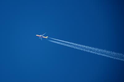 重庆维达卷纸使用航空货运10天送达加拿大枫树岭