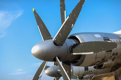 卫生纸中国大连散货船运输高效送达桑德贝