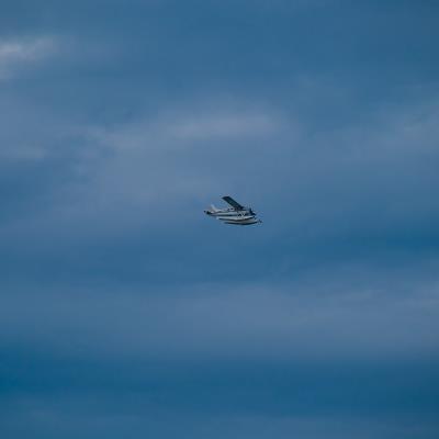 中国天津至加拿大基洛纳的鱼产品采用空运快递10天内送达