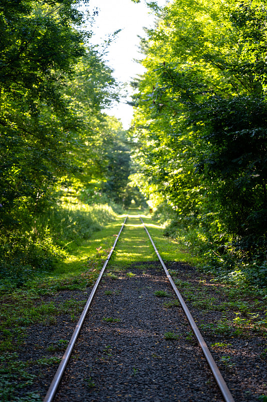 国际物流出口这款产品到欧盟国家请注意