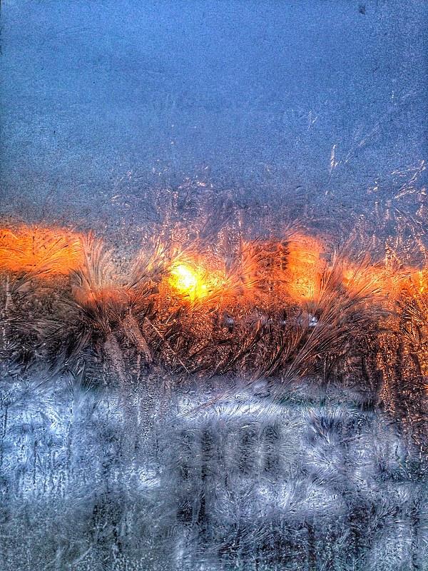 发国际物流到哪些国家需要提供ENS号码