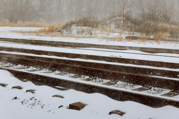 过境国际物流货物如何申报？