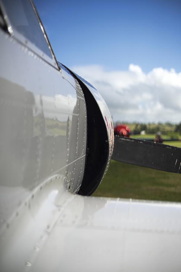 国际物流出口货物熏蒸证书的有效期是多久