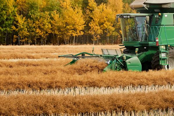 从中国国际物流货物到沙特为何清关那么难