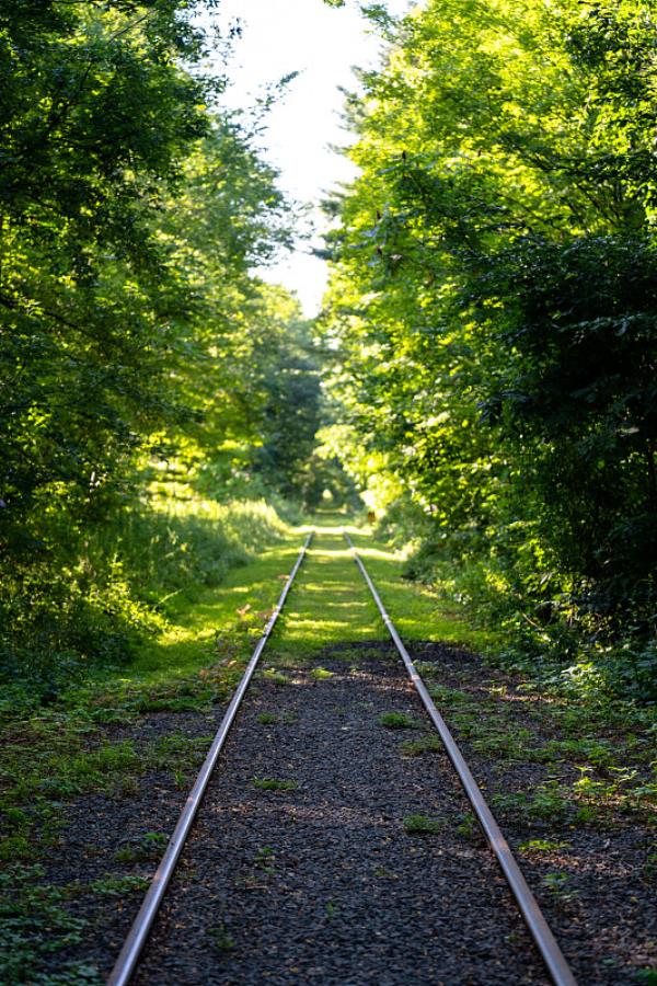 国际物流出口这款产品到欧盟国家请注意