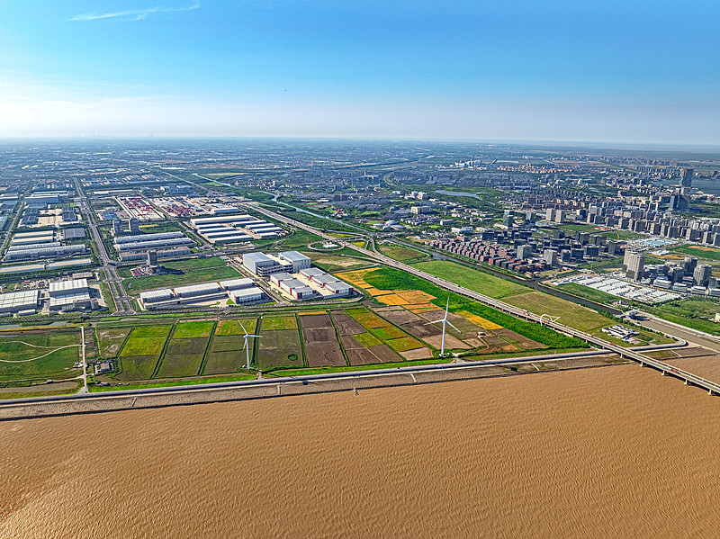 德鲁里：集装箱运费下滑，未来有很多不可预测性