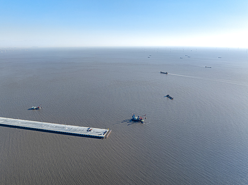 美国货代海运公司怎么选？（美国货代海运FBA优势是什么）