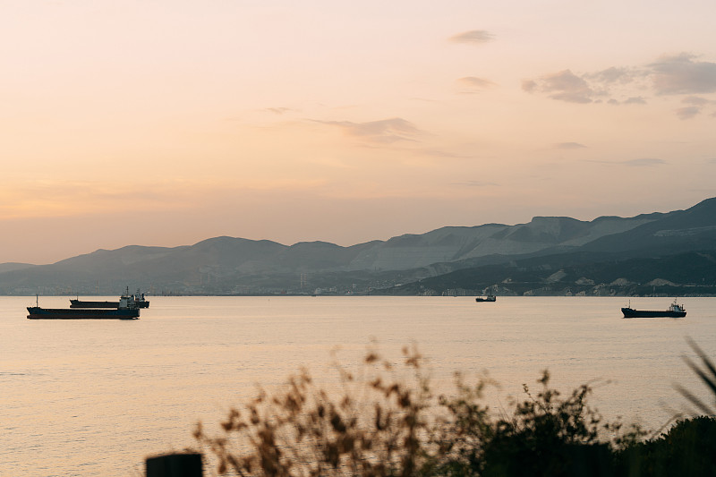 DP World计划开发鲁珀特王子港的第二个集装箱码头