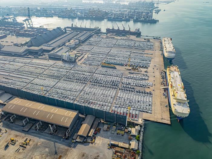 深圳市赢阳国际物流有限公司 深圳市赢阳国际物流有限公司