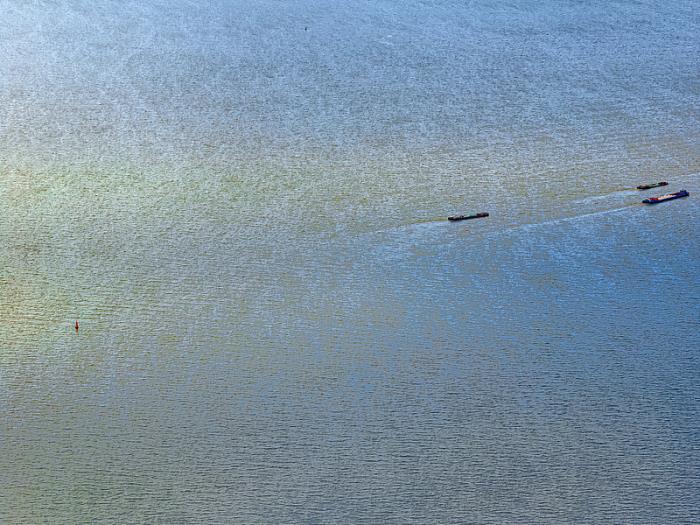 广州畅行物流有限公司简要信息