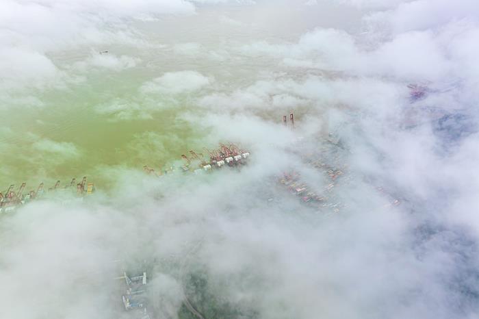 东莞市港联国际物流有限公司一部分描述