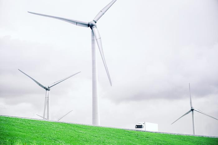 深圳市东华国际物流有限公司部分档案