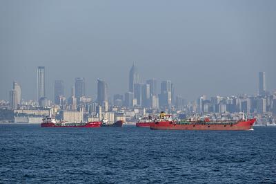 深圳市鸿伟物流有限公司简单概要